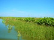 Lake_Hancock